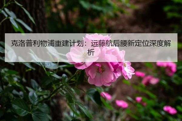 ke-luo-pu-li-wu-pu-chong-jian-ji-hua-yuan-teng-hang-hou-yao-xin-ding-wei-shen-du-jie-xi-3-839.jpg