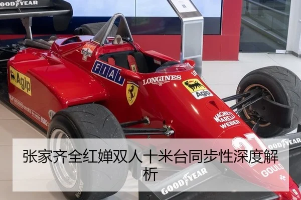 张家齐全红婵双人十米台同步性深度解析