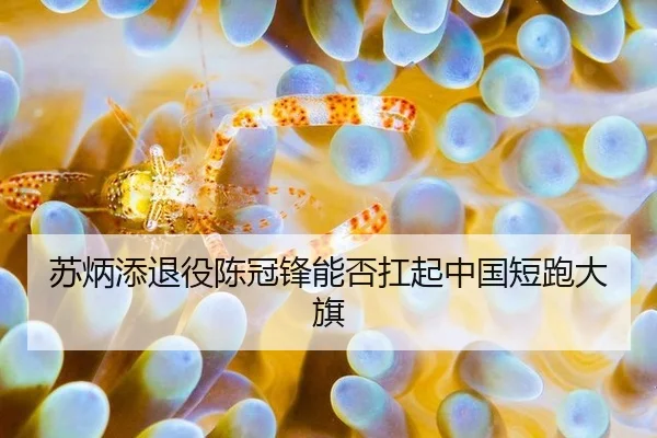 su-bing-tian-tui-yi-chen-guan-feng-neng-fou-kang-qi-zhong-guo-duan-pao-da-qi-3-367.jpg