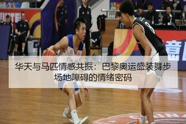 华天与马匹情感共振：巴黎奥运盛装舞步场地障碍的情绪密码