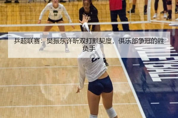 乒超联赛：樊振东许昕双打默契度，俱乐部争冠的胜负手