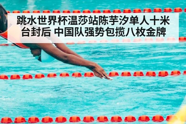 跳水世界杯温莎站陈芋汐单人十米台封后 中国队强势包揽八枚金牌