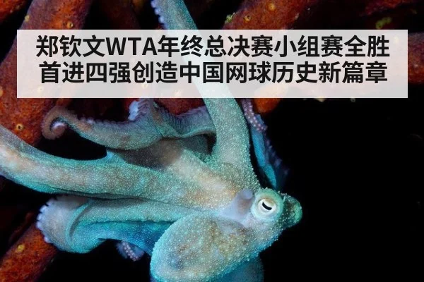 郑钦文WTA年终总决赛小组赛全胜首进四强创造中国网球历史新篇章