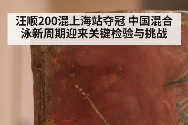 汪顺200混上海站夺冠 中国混合泳新周期迎来关键检验与挑战